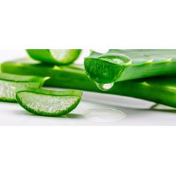 ALOE VERA GEEL mida sellega teha?